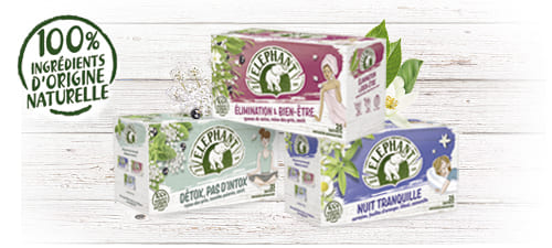  Infusions classique bien-être Eléphant