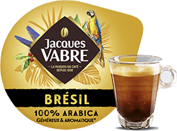 JV brésil