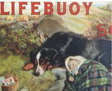 logo lifebuoy 1894
