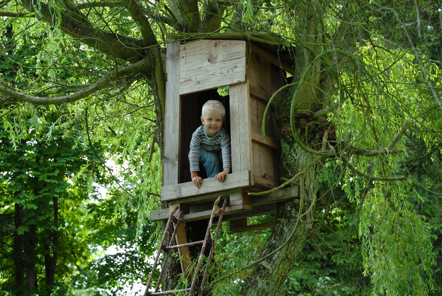 Construire une cabane dans les arbres avec les nouvelles barres Petit Ecolier de LU® 