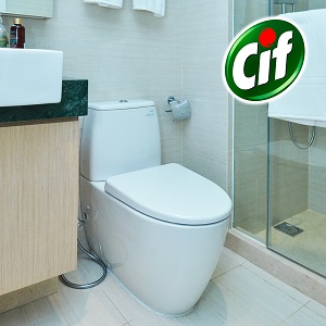 toilettes cif