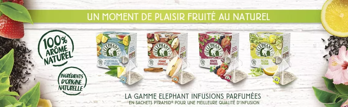 Infusions Eléphant plaisir naturel fruité parfumé sachet pyramid ingrédients origine naturelle