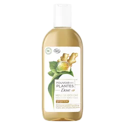 Dove Pouvoir des plantes Gel douche soin Huile de douche Gingembre