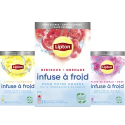 Infusion à Froid Lipton Gourde Eau Fruits Sachet Pyramid