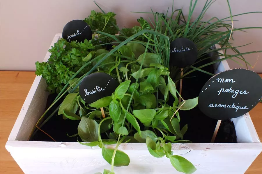 Etape 10 du potager