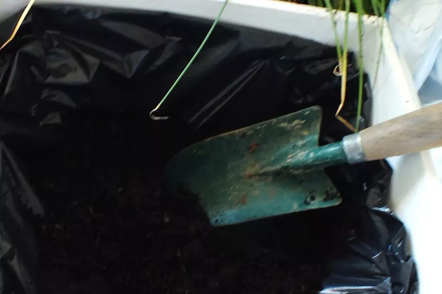 Etape 5 du potager