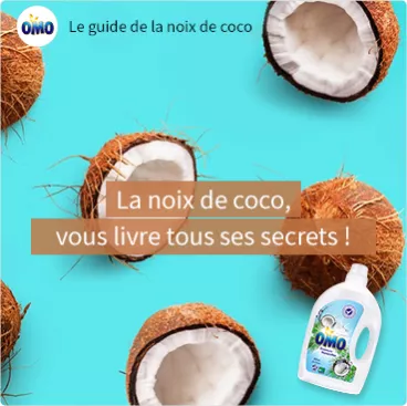 le guide de la noix de coco