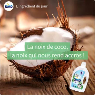 La noix de coco, la noix qui nous rend accros