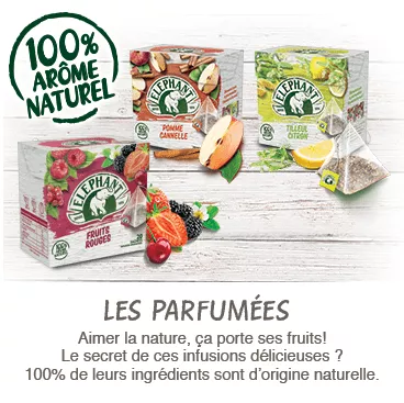 Infusion Eléphant fruits naturel