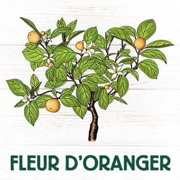 Fleur d'oranger calme tensions nerveuses et apaise