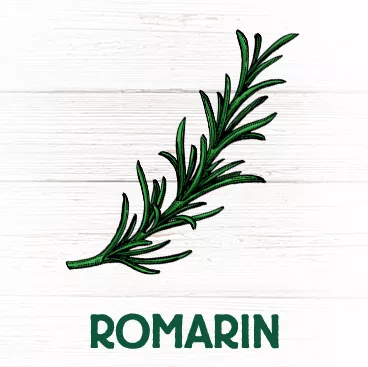 Romarin antioxydant bronchite asthme sinusite