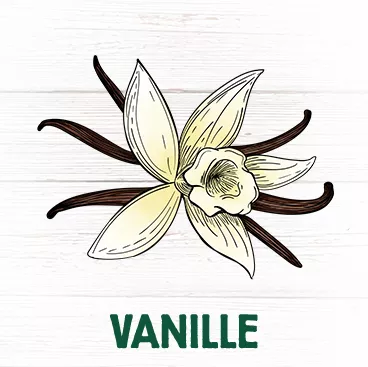 Vanille antioxydant facilite la digestion, régule l'appétit