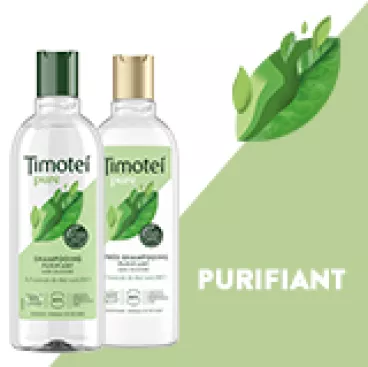 Timotei Purifiant