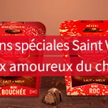 CDO St-valentin reduc