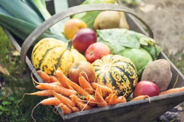 Un panier de fruits et légumes