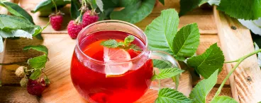 Infusion aux fruits rouges avec Eléphant®