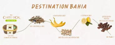 Une coupe glacée au cacao avec la crème glacée Les Bio Cacao corsé du Pérou Carte d’Or®