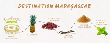 Un dessert glacé avec la crème glacée Les Bio Vanille douce de Sava Carte d’Or®