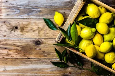 Le guide du citron Le citron, l’agrume star pour votre cuisine et santé !