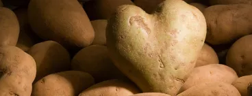 La pomme de terre, la reine de la variété ! La pomme de terre, la reine de la variété !