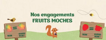 Pur’Fruit : 100% FRUITS MOCHES Fruits moches aussi bons PurFruit