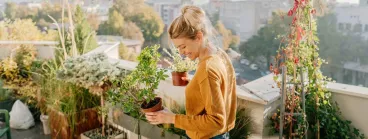 Astuces pour la décoration de vos balcons et jardins.