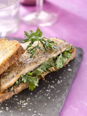Tartines de Filet de daurade à la coriandre fraîche avec Pelletier®