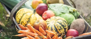 Un panier de fruits et légumes