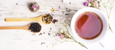 Des plantes pour un moment de bien-être Redécouvrez les plantes avec la gamme de tisanes Mon moment d’Elephant®