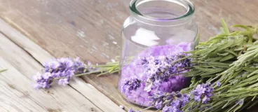 Un pot de lavande sur une table en bois