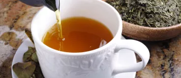 Les 4 bienfaits du thé vert tasse de thé vert