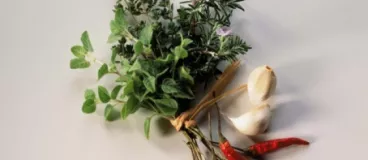 Herbes et plantes aromatiques : mettez-vous au parfum ! Herbes et plantes aromatiques : mettez-vous au parfum !