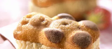 Bûchette à la vanille et aux Ourson de Lulu®