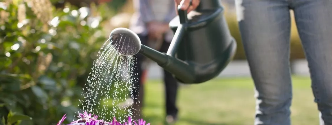 Une femme arrose les plantes de son jardin