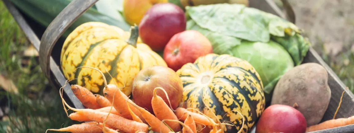 Un panier de fruits et légumes