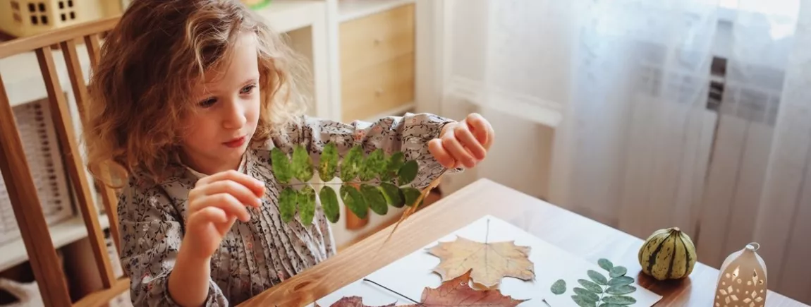 Une petite fille réaliser un herbier