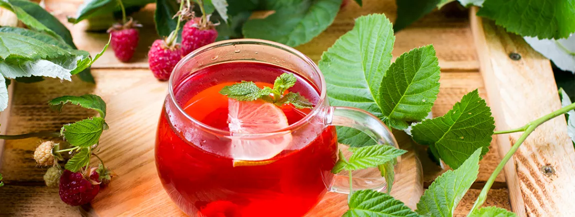 Infusion aux fruits rouges avec Eléphant ® Infusion aux fruits rouges avec Eléphant®