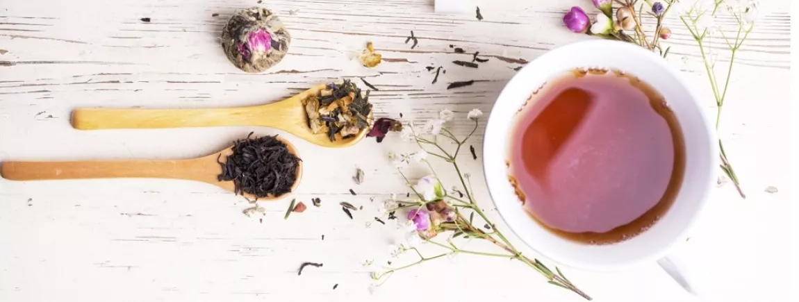 Des plantes pour un moment de bien-être Redécouvrez les plantes avec la gamme de tisanes Mon moment d’Elephant®