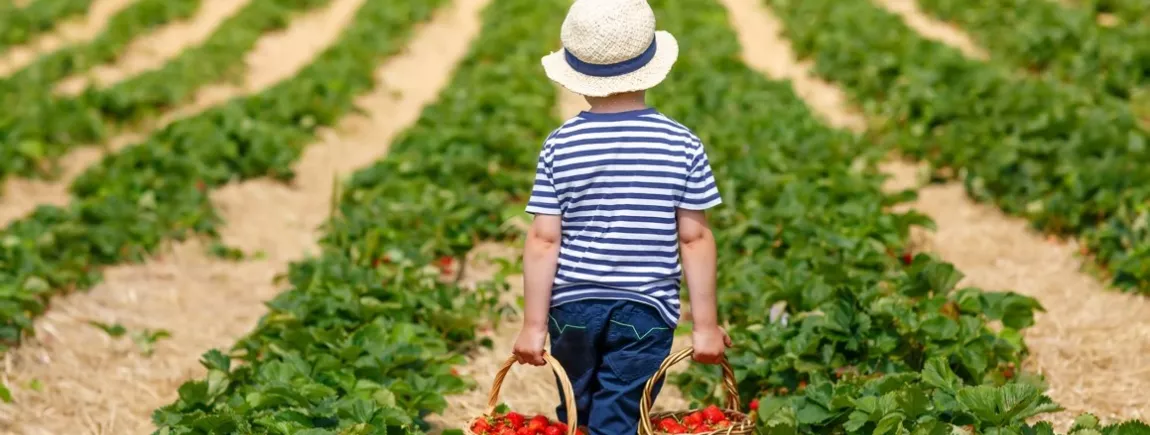 Des fruits et légumes frais à la ferme