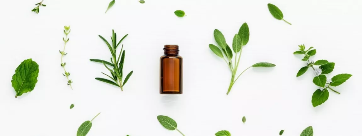 Le guide des huiles essentielles Le guide des huiles essentielles