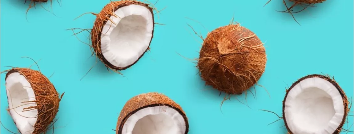Le guide de la noix de coco La noix de coco livre ses secrets