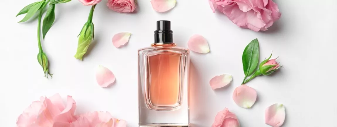 Le guide du parfum : l’art de se parfumer Le guide du parfum : l’art de se parfumer
