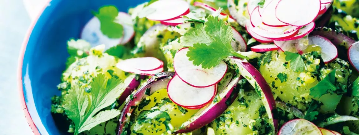 Pommes de terre nouvelles en salade au pesto de coriandre