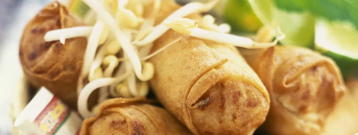Nems végétariens nems vegetarien