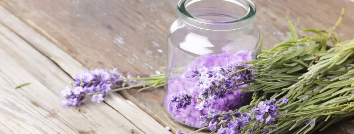 À chaque plante, ses bienfaits Un pot de lavande sur une table en bois