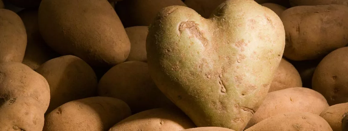 La pomme de terre, la reine de la variété ! La pomme de terre, la reine de la variété !