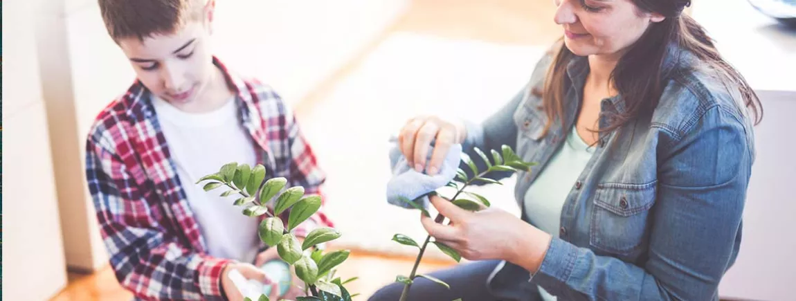 Vos astuces bien-être à la maison Une mère et son fils entretiennent une plante.