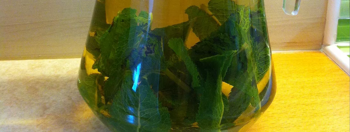 BOISSON (sans sucre) à LA MENTHE BOISSON (sans sucre) à LA MENTHE