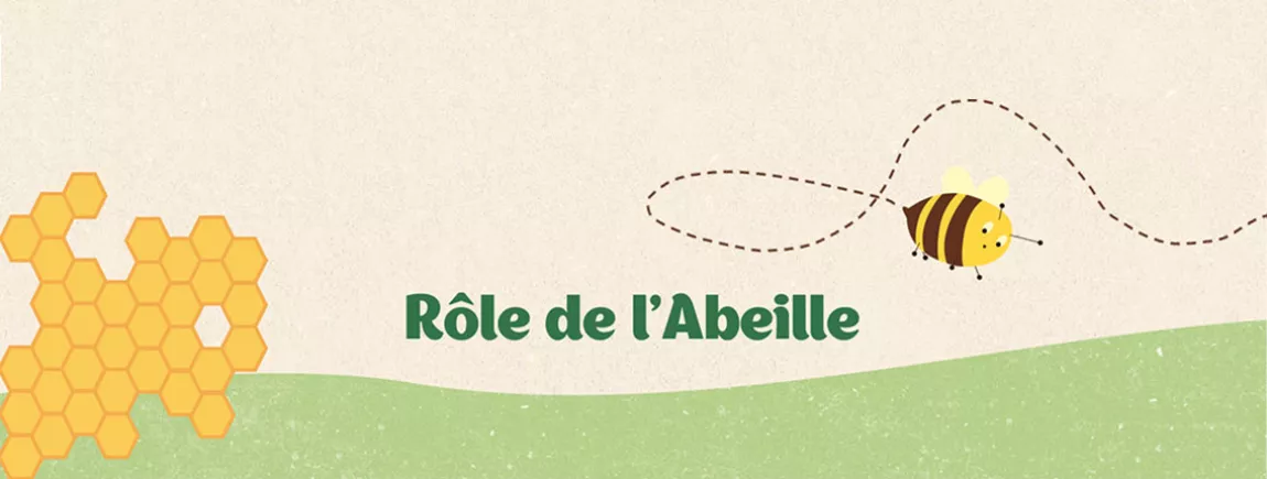 Le rôle de l’Abeille header abeille