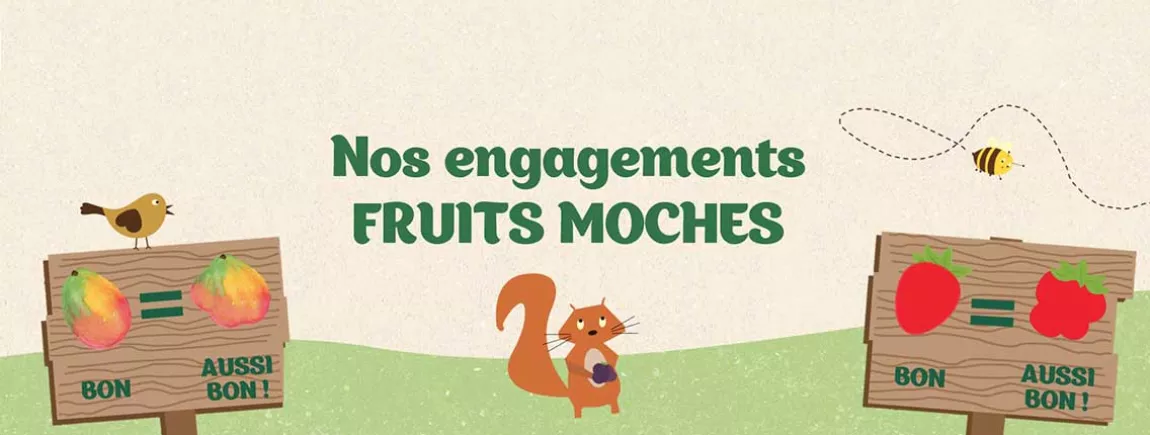 Fruits moches aussi bons PurFruit